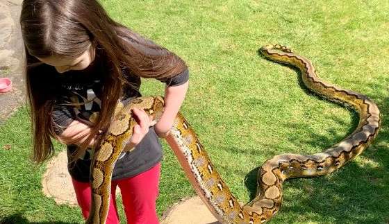 Tik Tok woman was eaten by her own python