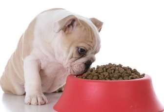 How to tell if dog food is toxic
