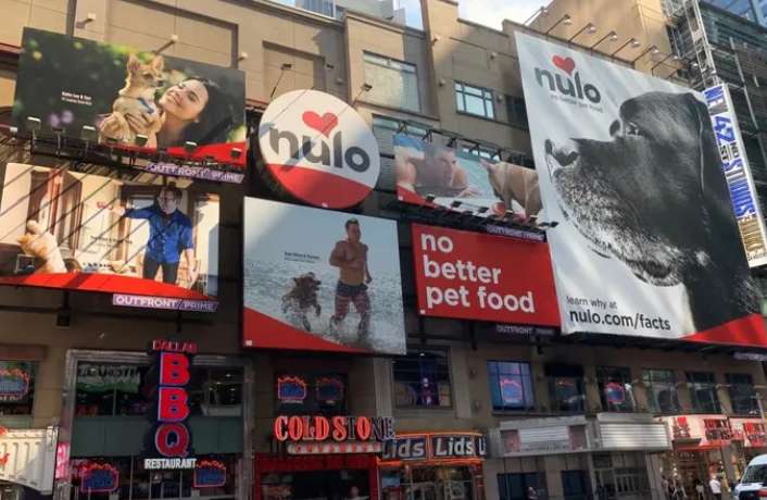 Is nulo a fake foreign brand?