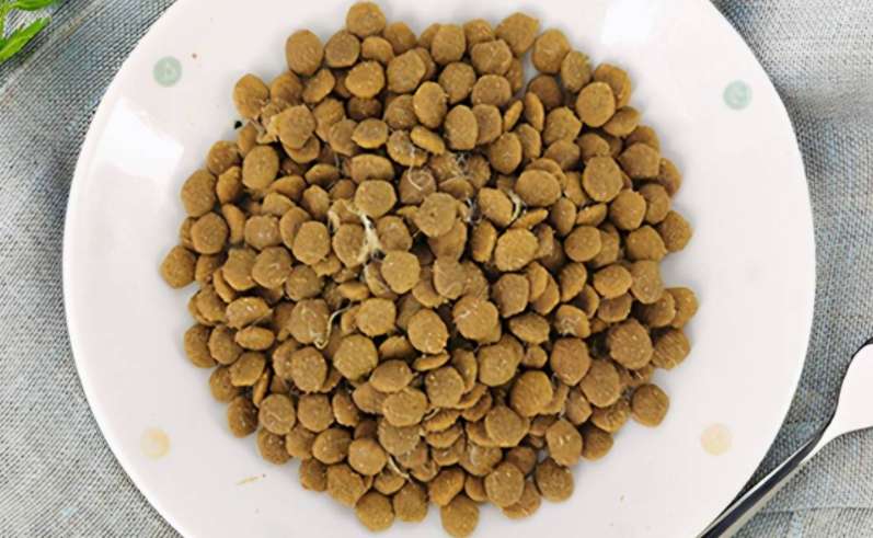 What are the top ten poisonous dog food brands?