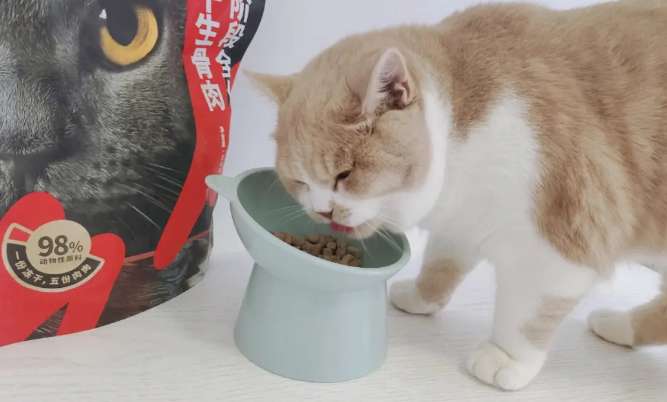 How about Laiye cat food?