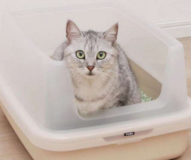 How to transition to changing cat litter? How many days should the cat litter be changed?