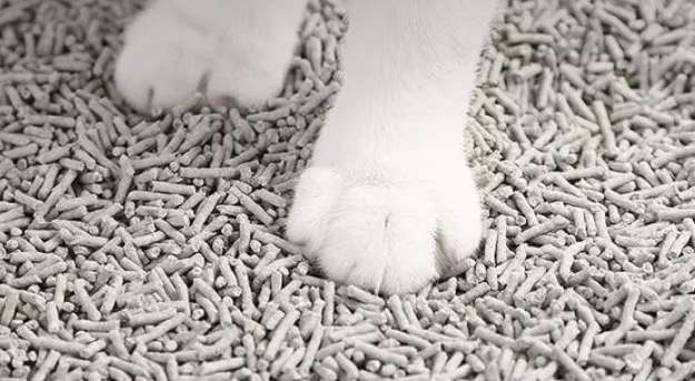 What types of cat litter are there, and which type of cat litter is best?