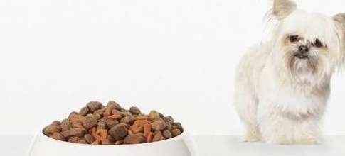 To determine whether dog food is suitable for dogs? Come and take a look