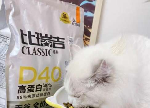 猫に十分なタンパク質を補給させ、ビレジス D40 は猫の健康な成長を守ります