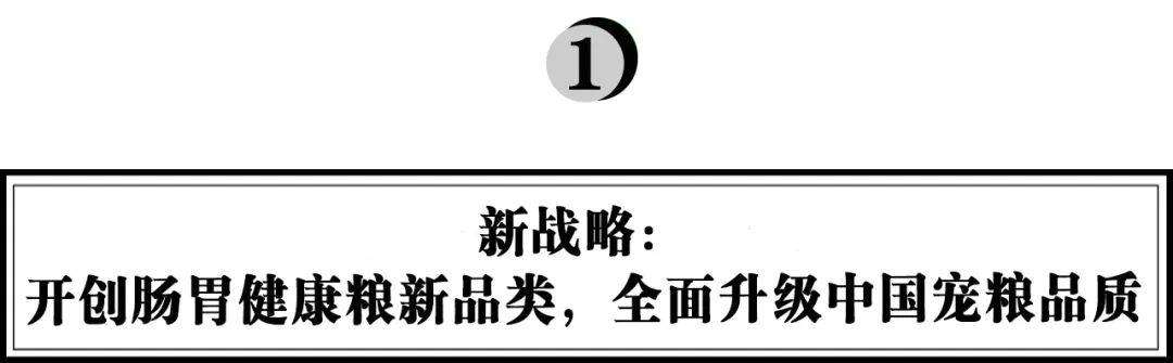 胃腸の健康食品を開発する、Douzhai はペットフード業界のカテゴリー革命をどのようにリードしますか? 