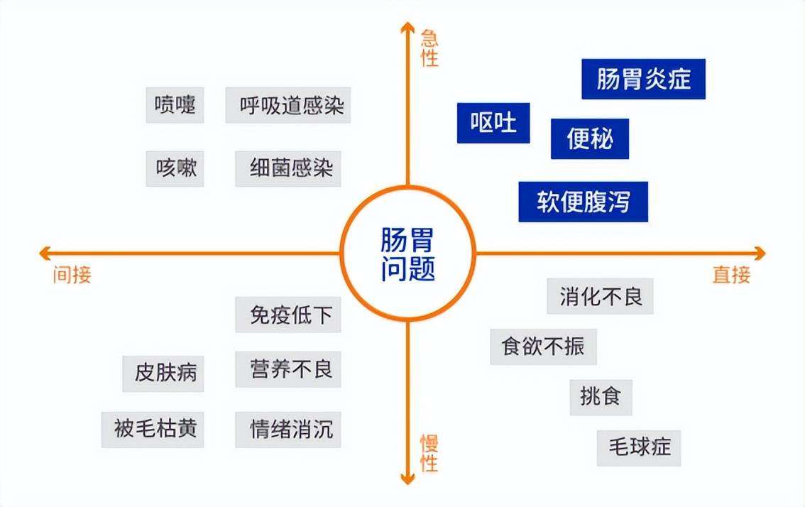 胃腸の健康食品を作成する、Douchai はペットフード業界のカテゴリー革命をどのようにリードしますか? 