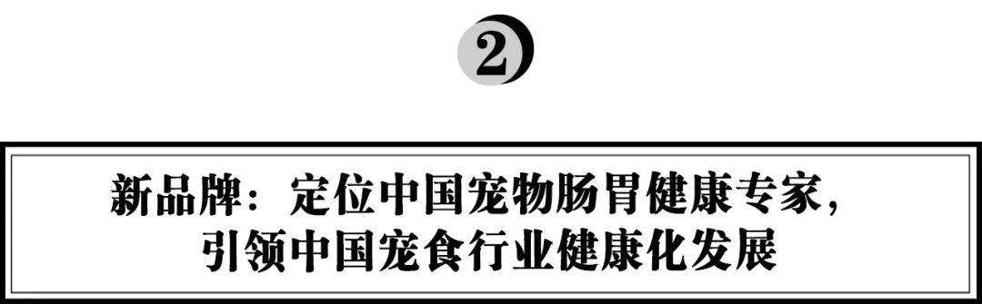  胃腸の健康食品の開発において、Douchai はペットフード業界のカテゴリー革命をどのようにリードしていますか? 