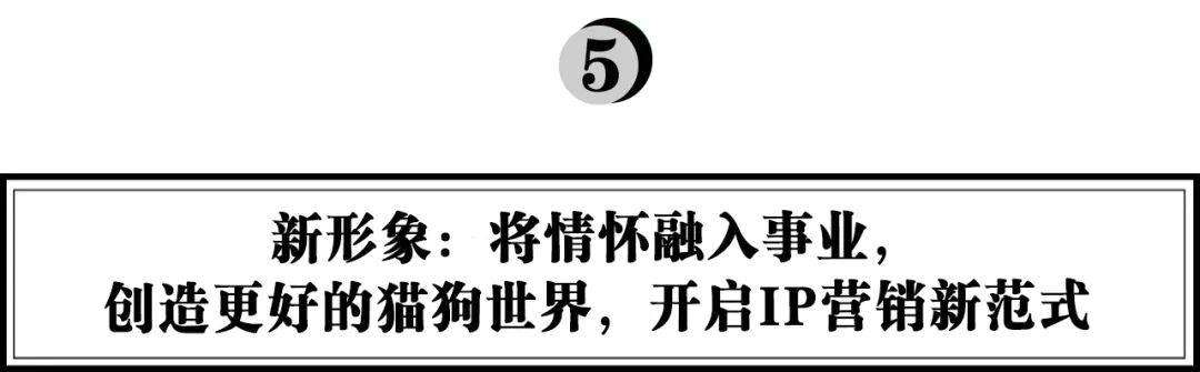  胃腸の健康食品を開発する Douchai は、ペットフード業界のカテゴリー革命をどのようにリードしていますか? 